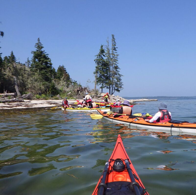 A group of people are kayaking near a small, sandy island dotted with trees under a clear blue sky. The kayakers are spread out, some closer to the island's shore and others further out in the water. The water is calm with gentle ripples, and the overall scene suggests a peaceful outdoor recreational activity.